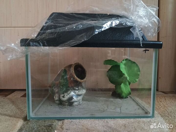Аквариум декор