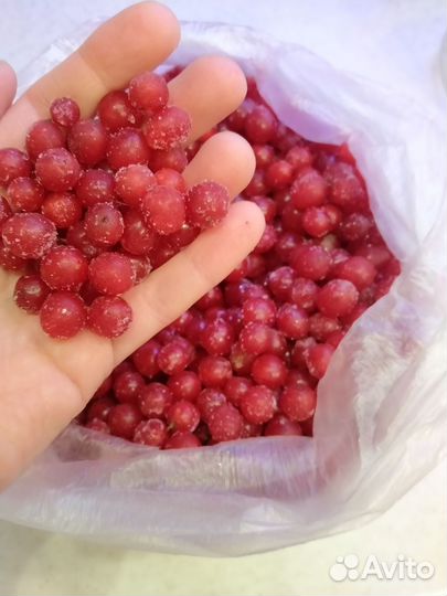 Ягода свежемороженая домашняя