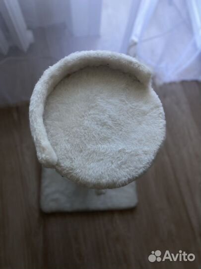 Когтеточка для кошек бу