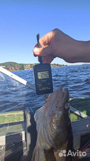 Рыбалка на Онежском озере. Путешествия в Карелии