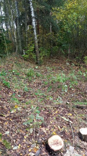 Участок 6 сот. (ИЖС)