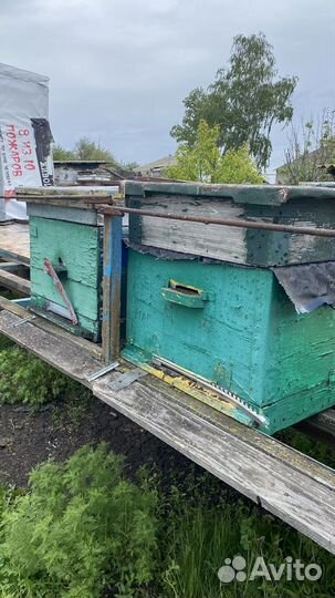 Улья для пчел