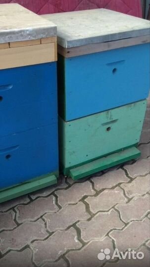 Улья улики новые