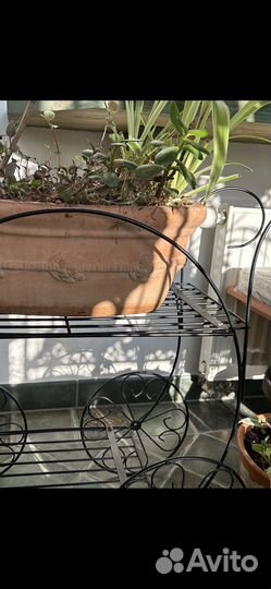 Этажерка для цветов