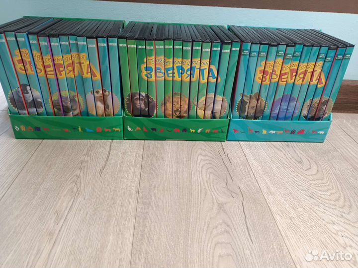 Твои веселые друзья зверята