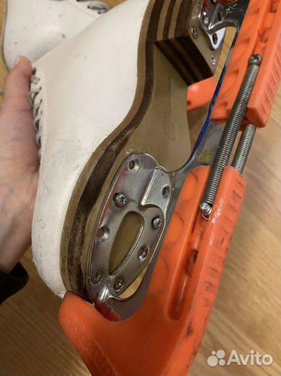 Фигурные коньки jackson elle 1с