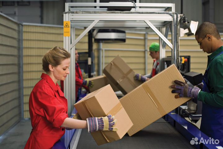 Упаковщики Солнечногорск, Вахта 15/30/5361