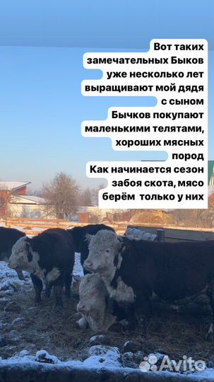 Вкуснейший Костный бульон Саранск Халяль