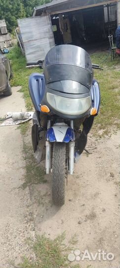 Stels Racer dragon 150