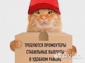 Промоутер ежедневная оплата раздача листовок