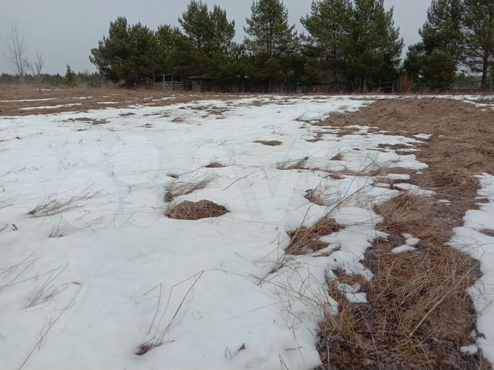 Участок 12 сот. (ИЖС)