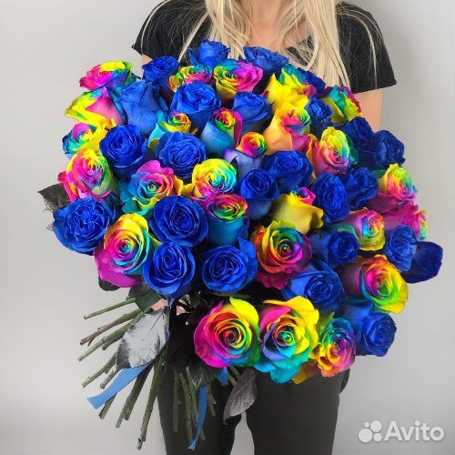 Цветы розы 21 31 51 ароматная роза