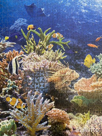 Пазлы 500 шт и 1000 шт