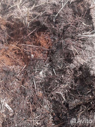 Навоз, перегной