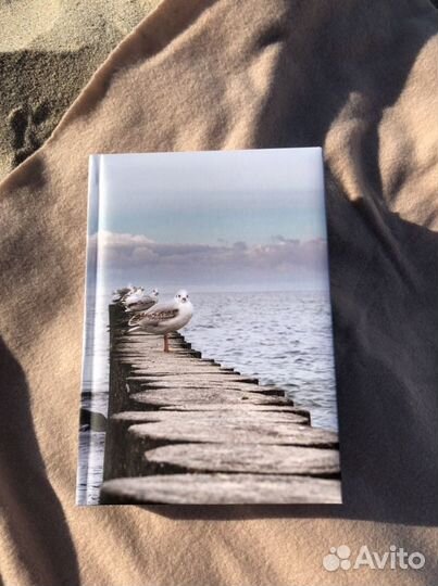 Ежедневник «Чайки» недатированный