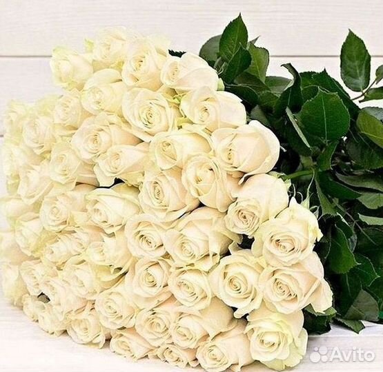 Высокие розы Букеты с доставкой