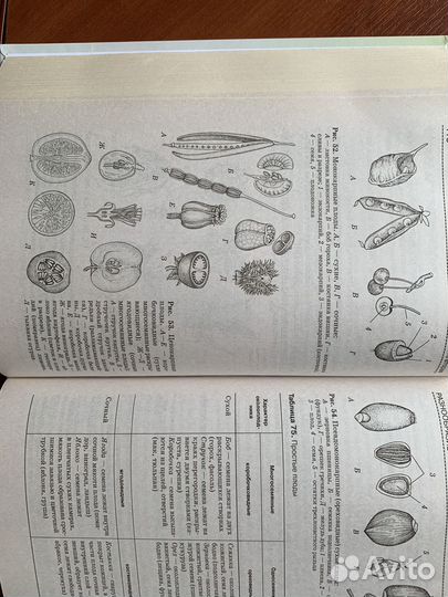 Справочник для школьников Биология Солодова Елена