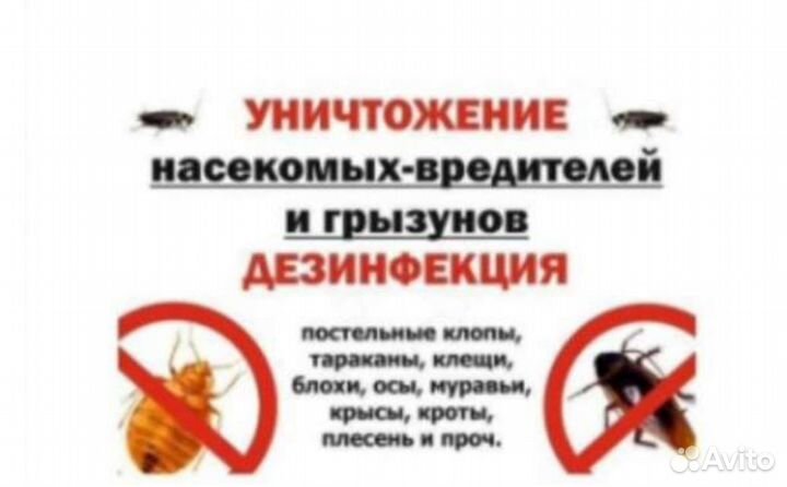 Дезинфекция помещений