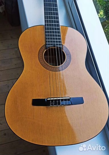 Новая Гитара