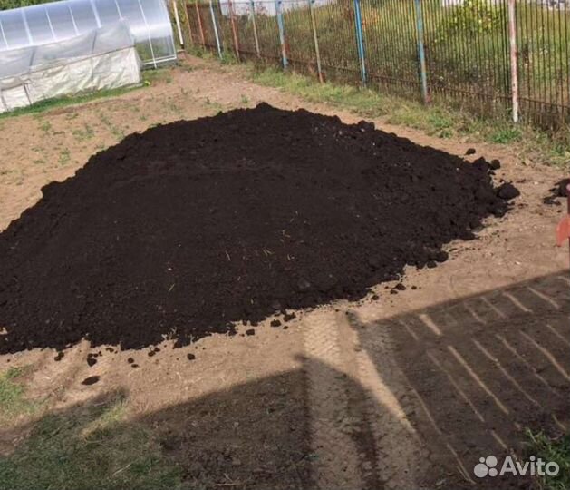 Чернозем ягодинский жирный