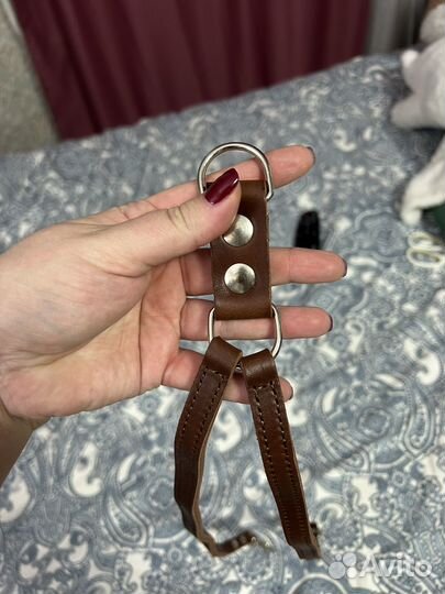 Сворка для собак