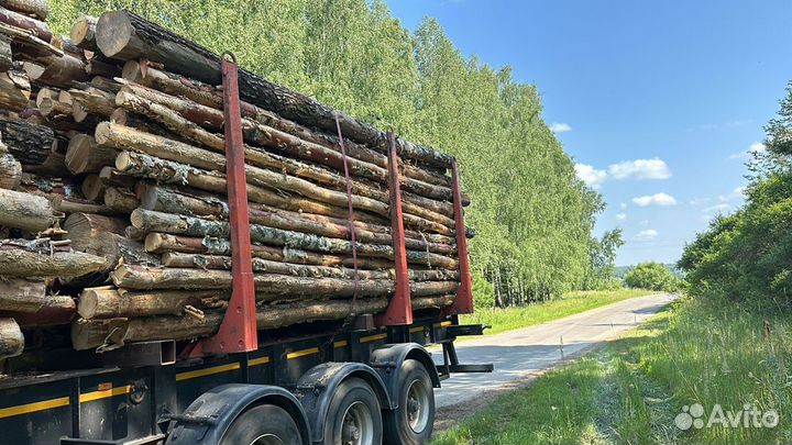 Берёза на палетную доску