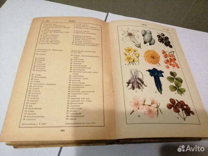 Иллюстрированный немецкий и русский словарь