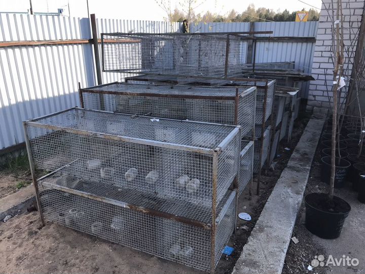 Клетка для шиншилл