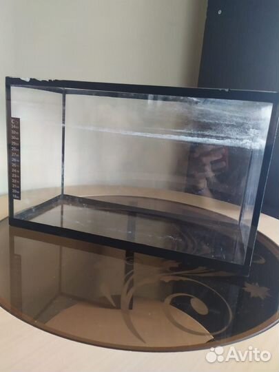 Аквариум, корм для аквариумных рыб