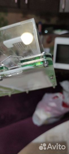 Муравьиная ферма