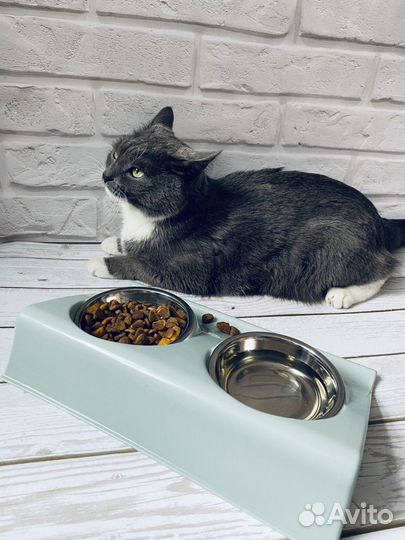 Миски для животных/ собак/ кошек