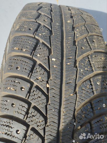 Gislaved Nord Frost 5 205/65 R15