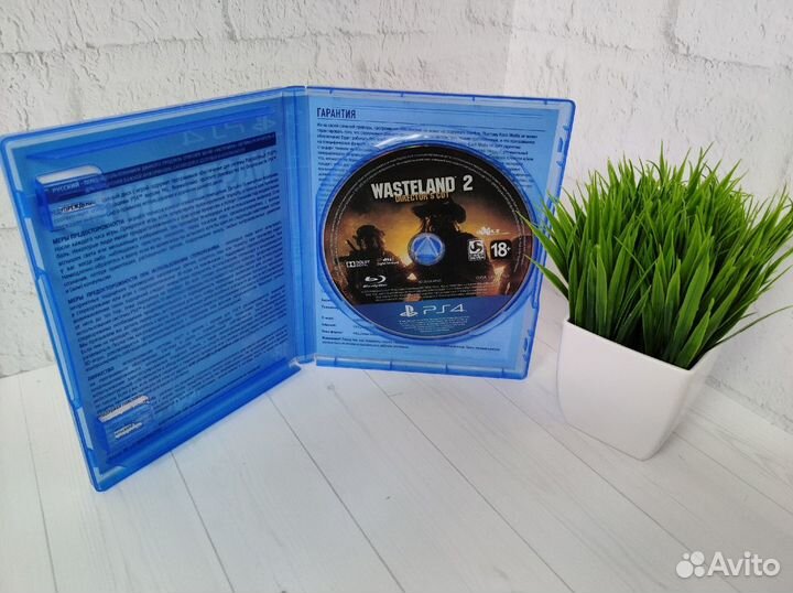 Wasteland 2 Directors Cut Русская Версия (PS4)