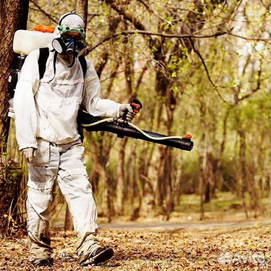 Уничтожение насекомых, клещей, комаров