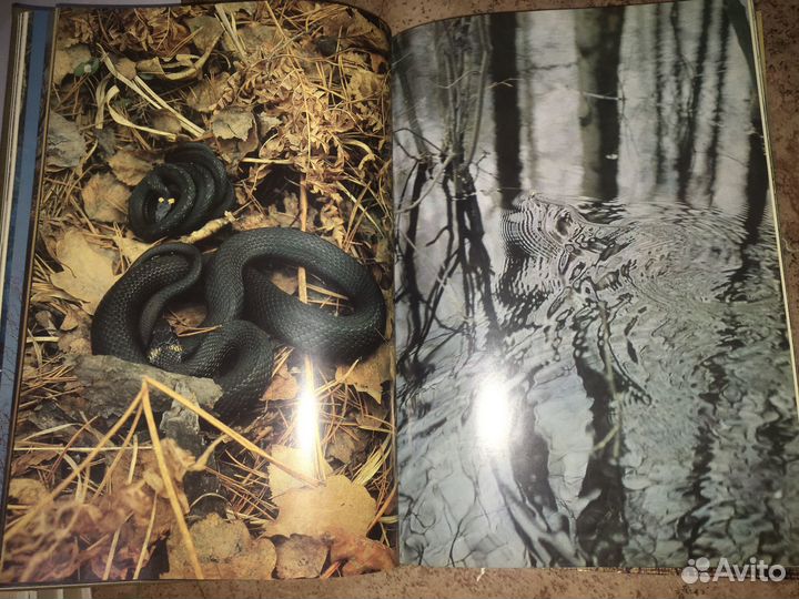 Книга Мещерская Сторона