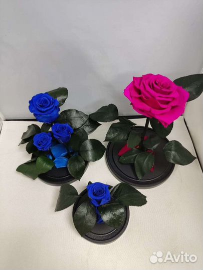 Роза в колбе