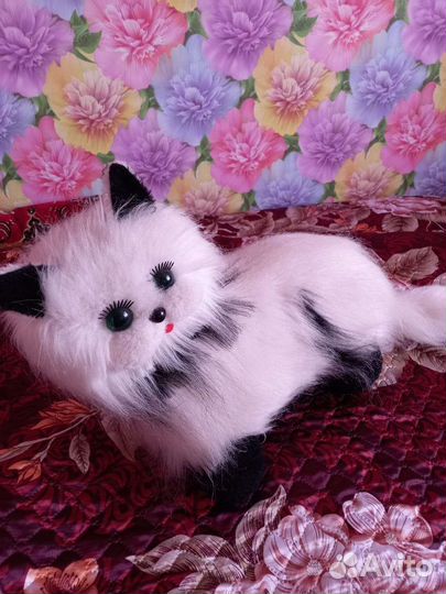 Кошка