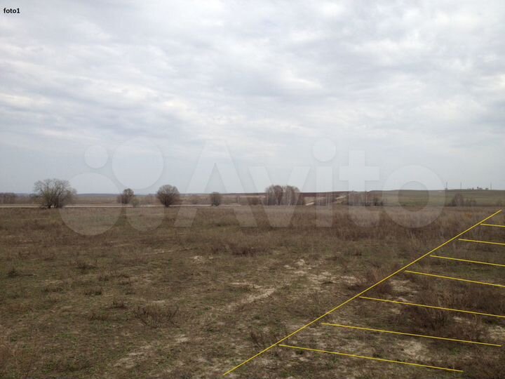 Участок 30,65 га (СНТ, ДНП)