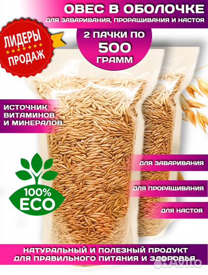 Прикормка для рыбалки