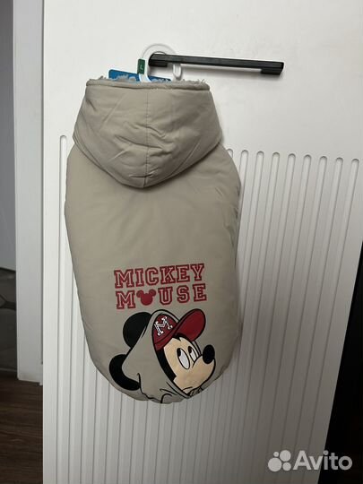 Осенняя куртка для собаки