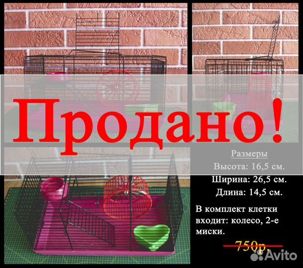 Клетка для джунгарского хомяка