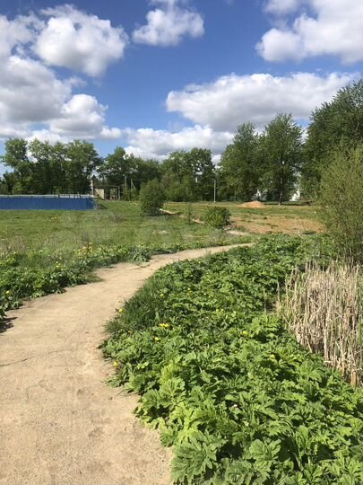 Участок 19 сот. (ИЖС)