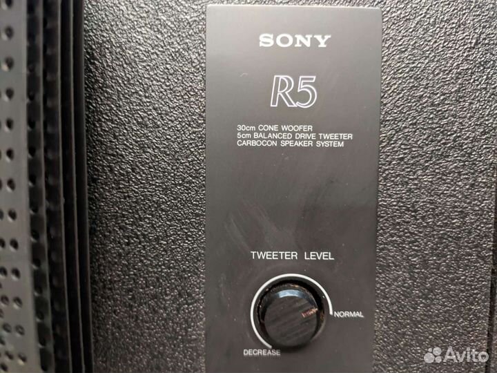 Колонки Sony SS-R5