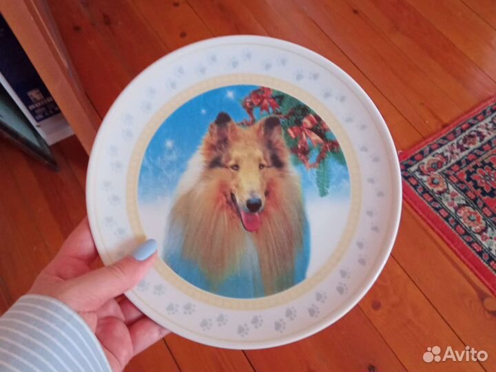 Тарелка собака колли шотландская овчарка