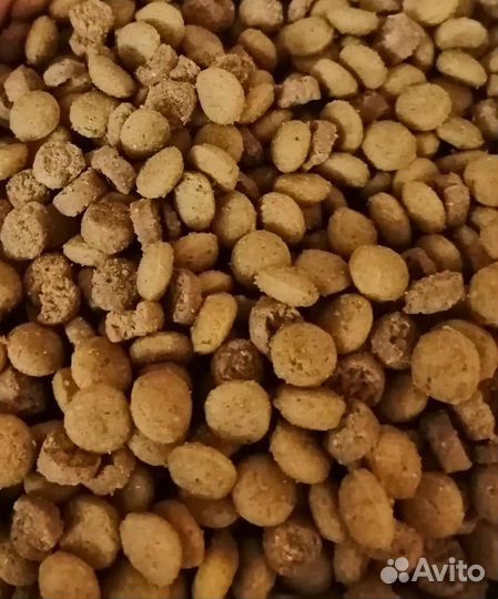 Сухой корм для собак