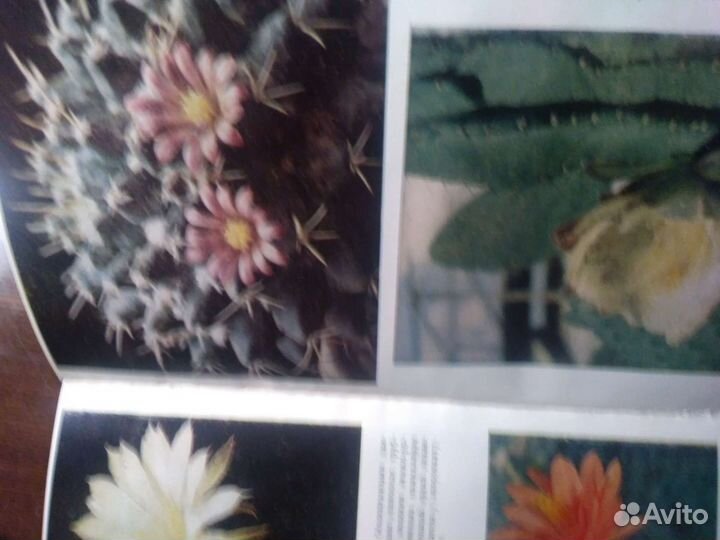 Книги из личной библтотеке