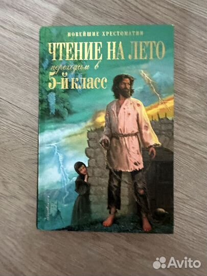 Бронь Чтение на лето 5 класс 2 штуки