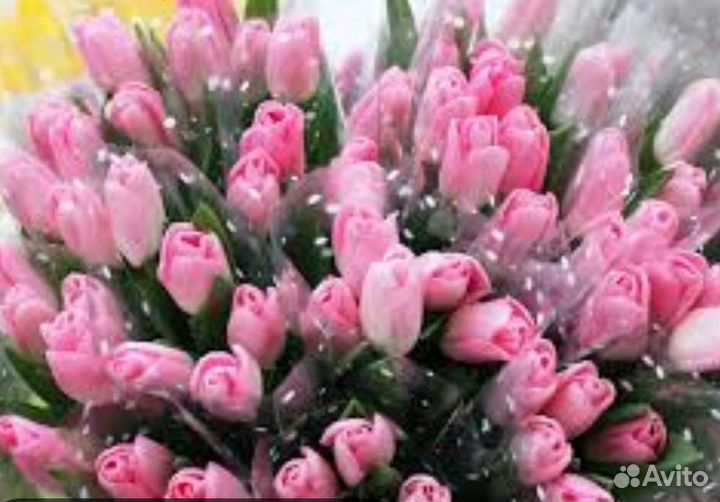 Тюльпаны,цветы,букеты к праздникам с доставкой