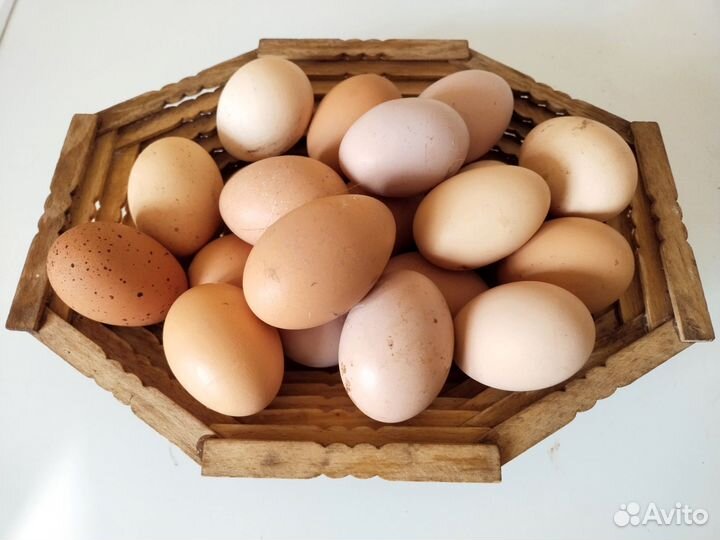 Яйцо куриное деревенское