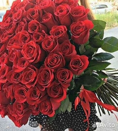 Высокие Розы Гиганты Доставка Круглосуточно